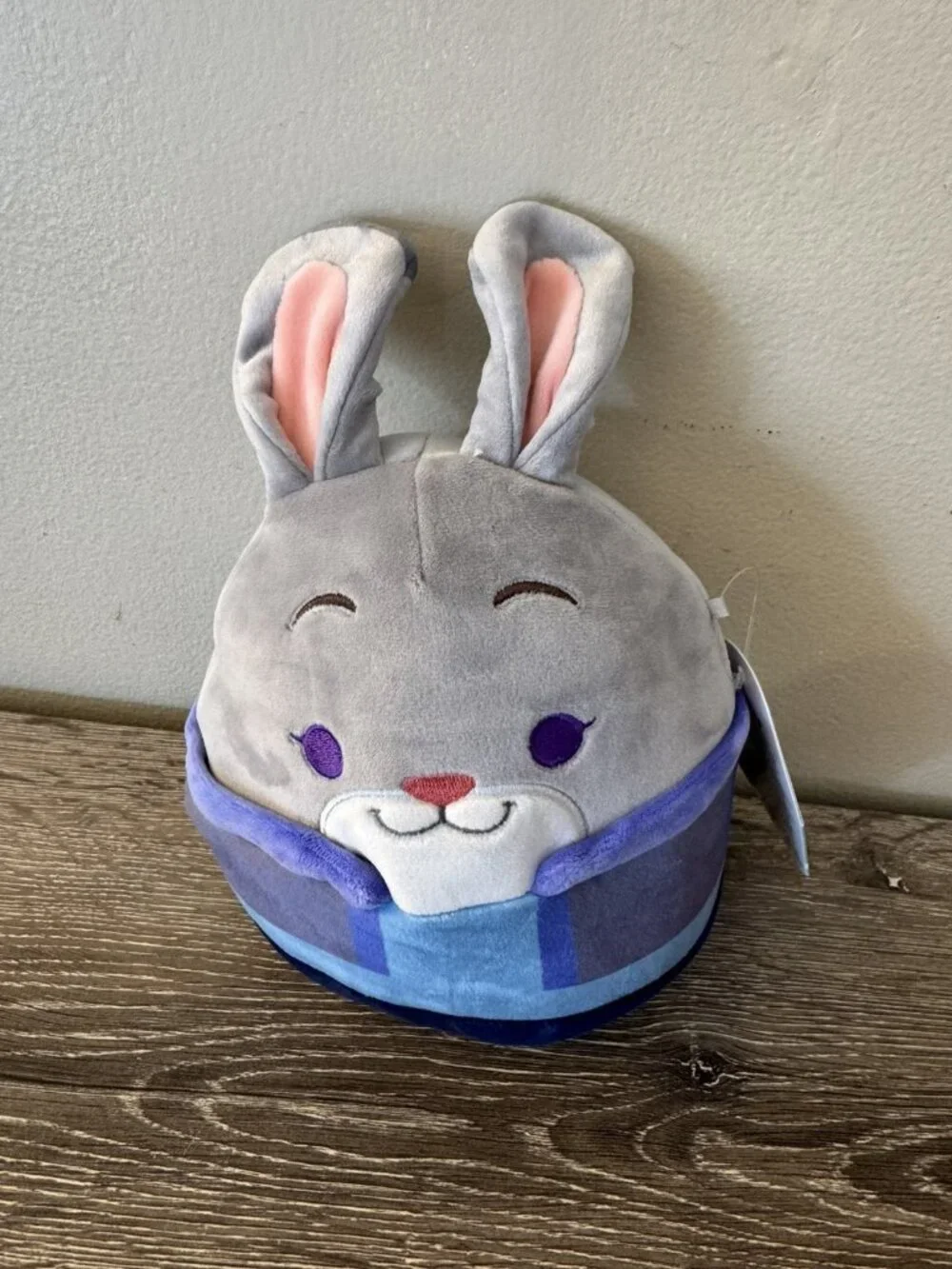 New Squishmallows 6